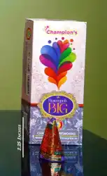 FLOWER POTS BIG (MEDIUM SIZE)(10PCS)